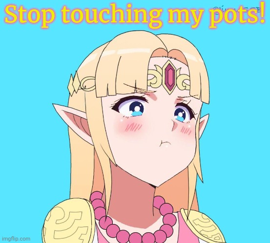 Zelda problems | Stop touching my pots! | image tagged in legend of zelda,breaking pots,link gets grabby | made w/ Imgflip meme maker
