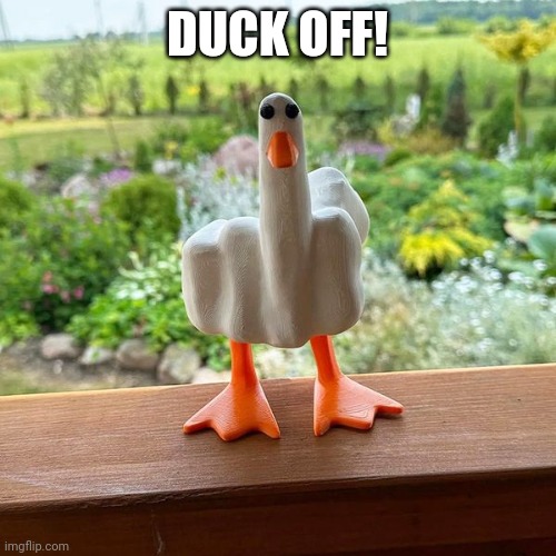 Duck off | DUCK OFF! | image tagged in duck | made w/ Imgflip meme maker