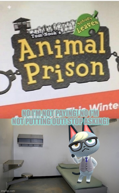 Pay your mortgage! | NO I'M NOT PAYING! NO I'M NOT PUTTING OUT! STOP ASKING! | image tagged in tom nooks s animal prison nobody leaves,prison cell inside,tom nook,raymond,animal crossing | made w/ Imgflip meme maker