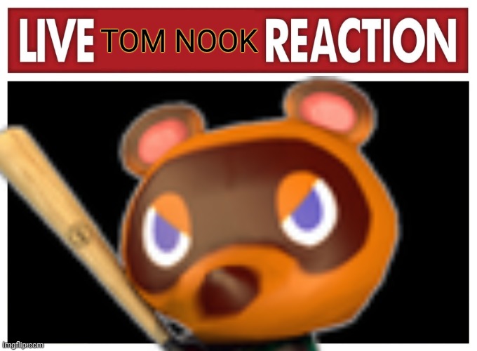 Live reaction | TOM NOOK | image tagged in live reaction | made w/ Imgflip meme maker