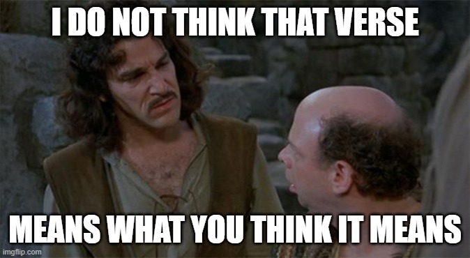 Princess Bride | I DO NOT THINK THAT VERSE; MEANS WHAT YOU THINK IT MEANS | image tagged in princess bride | made w/ Imgflip meme maker