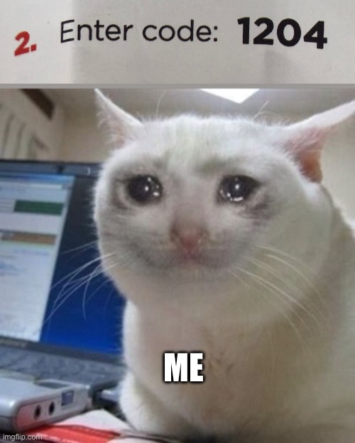 Crying cat | ME | image tagged in crying cat,ByzantineMemes | made w/ Imgflip meme maker