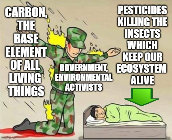 Carbon Is On Our Side | PESTICIDES
KILLING THE
INSECTS
WHICH
KEEP OUR
ECOSYSTEM 
ALIVE; CARBON,
THE
 BASE 
ELEMENT
OF ALL 
LIVING 
THINGS; GOVERNMENT,
ENVIRONMENTAL
ACTIVISTS | image tagged in carbon,carbon footprint,insects,environment,environmental,climate change | made w/ Imgflip meme maker