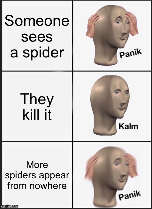 spider invasion | Someone sees a spider; They kill it; More spiders appear from nowhere | image tagged in memes,panik kalm panik | made w/ Imgflip meme maker