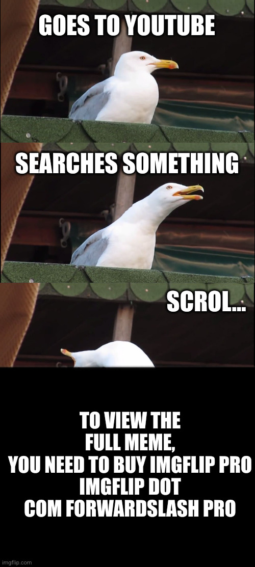 Inhaling Seagull | GOES TO YOUTUBE; SEARCHES SOMETHING; SCROL... TO VIEW THE FULL MEME,
YOU NEED TO BUY IMGFLIP PRO
IMGFLIP DOT COM FORWARDSLASH PRO | image tagged in memes,inhaling seagull | made w/ Imgflip meme maker