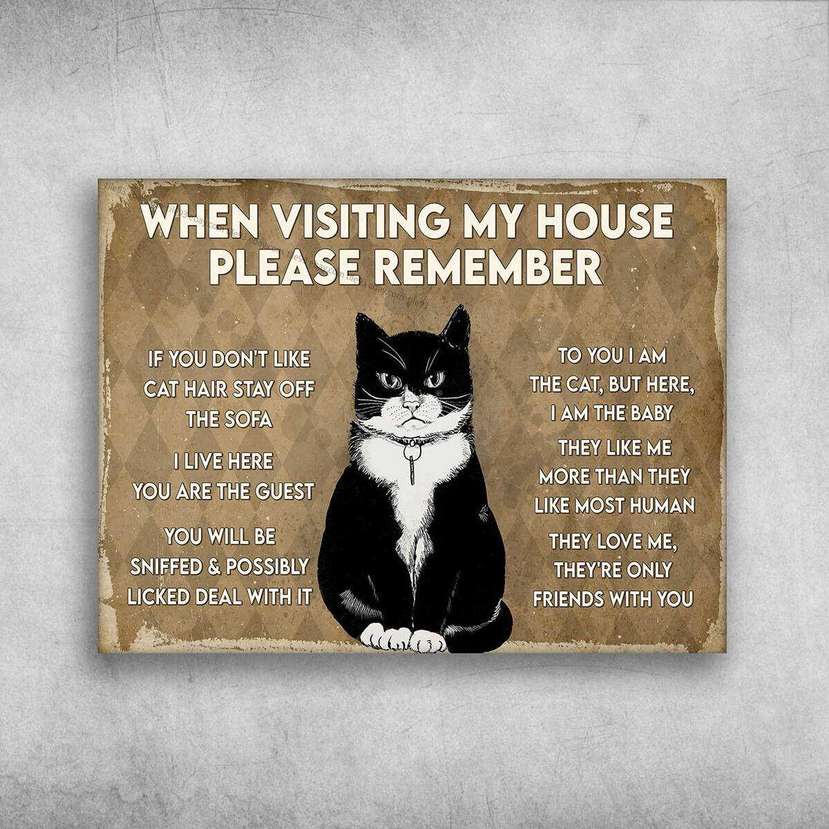 Tuxedo cat house rules Blank Meme Template