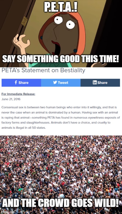 yayaayayayy | P.E.T.A.! SAY SOMETHING GOOD THIS TIME! AND THE CROWD GOES WILD! | image tagged in lois scream,crowd of people | made w/ Imgflip meme maker