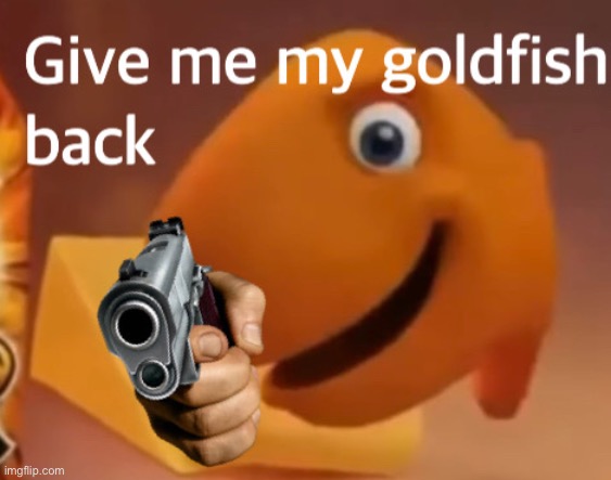 Goldfish Gun | image tagged in guns,memes,funny,fun,goldfish,goldfish holding a gun | made w/ Imgflip meme maker