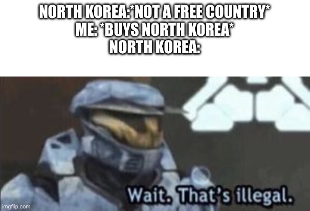 wait. that's illegal | NORTH KOREA:*NOT A FREE COUNTRY*
ME: *BUYS NORTH KOREA*
NORTH KOREA: | image tagged in wait that's illegal | made w/ Imgflip meme maker