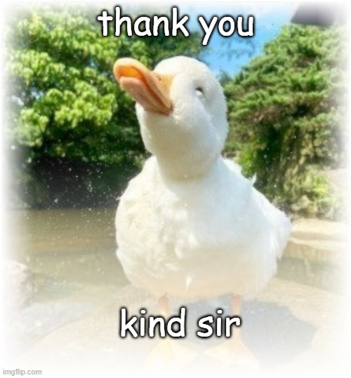 thank you kind sir | made w/ Imgflip meme maker