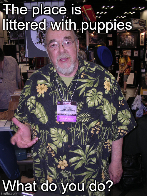 When the place is littered with puppies | The place is littered with puppies; What do you do? | image tagged in dnd,memes,gary gygax,puppy | made w/ Imgflip meme maker