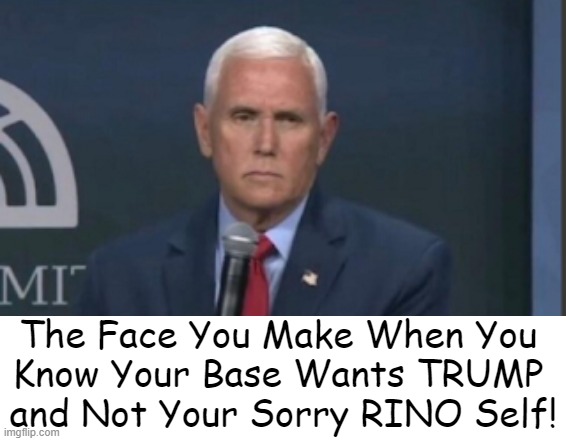 Go join Mitt for a Bud Lite! | The Face You Make When You 
Know Your Base Wants TRUMP 
and Not Your Sorry RINO Self! | image tagged in politics,mike pence,loser,rino,disappointment,weakness disgusts me | made w/ Imgflip meme maker