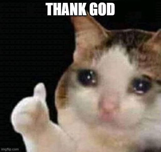 sad thumbs up cat | THANK GOD | image tagged in sad thumbs up cat | made w/ Imgflip meme maker