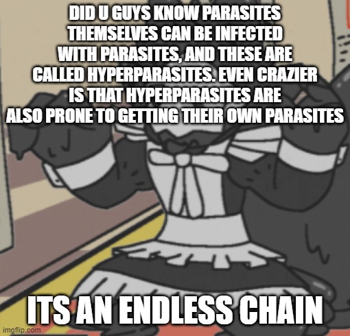 maid puro | DID U GUYS KNOW PARASITES THEMSELVES CAN BE INFECTED WITH PARASITES, AND THESE ARE CALLED HYPERPARASITES. EVEN CRAZIER IS THAT HYPERPARASITES ARE ALSO PRONE TO GETTING THEIR OWN PARASITES; ITS AN ENDLESS CHAIN | image tagged in maid puro | made w/ Imgflip meme maker