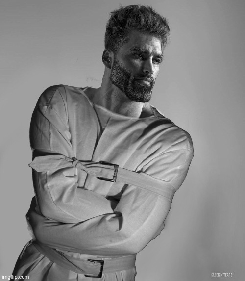 I got to silly | image tagged in gigachad with a straight jacket | made w/ Imgflip meme maker