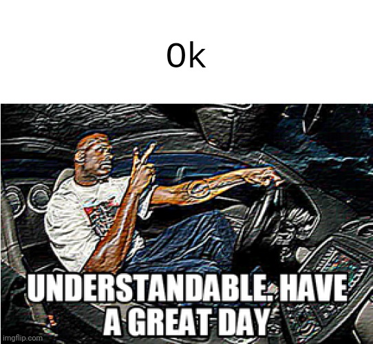 UNDERSTANDABLE, HAVE A GREAT DAY | Ok | image tagged in understandable have a great day | made w/ Imgflip meme maker