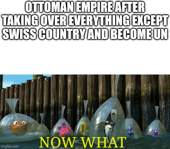 Now What - Finding Nemo | OTTOMAN EMPIRE AFTER TAKING OVER EVERYTHING EXCEPT SWISS COUNTRY AND BECOME UN; NOW WHAT | image tagged in now what - finding nemo | made w/ Imgflip meme maker