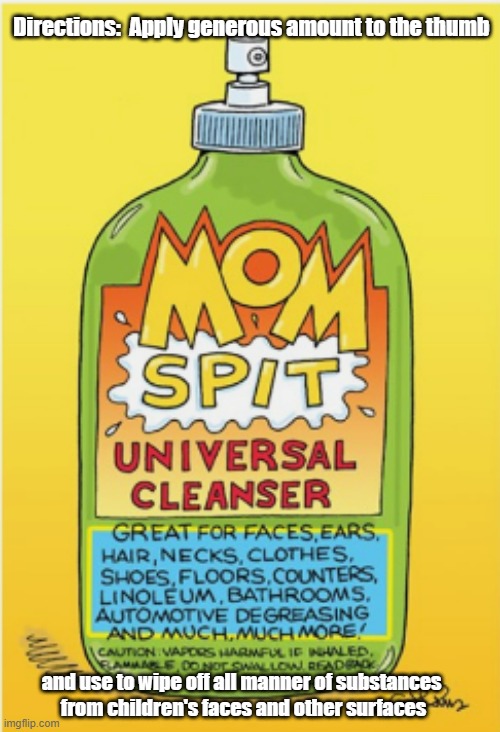 Directions:  Apply generous amount to the thumb; and use to wipe off all manner of substances 
from children's faces and other surfaces | image tagged in mom,spit | made w/ Imgflip meme maker