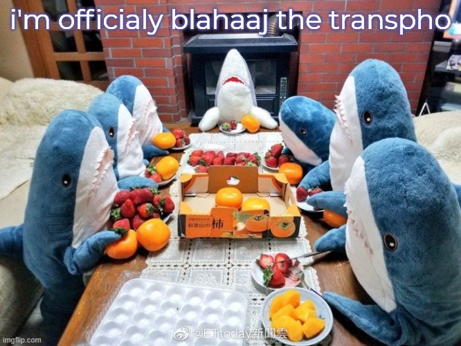 We discussin | i'm officialy blahaaj the transpho | image tagged in we discussin | made w/ Imgflip meme maker