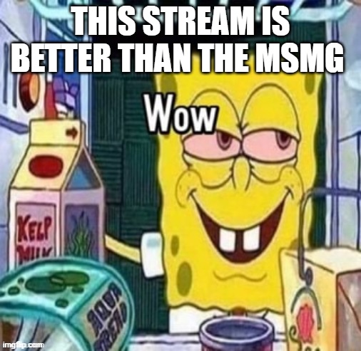 Wow bob | THIS STREAM IS BETTER THAN THE MSMG | image tagged in wow bob | made w/ Imgflip meme maker