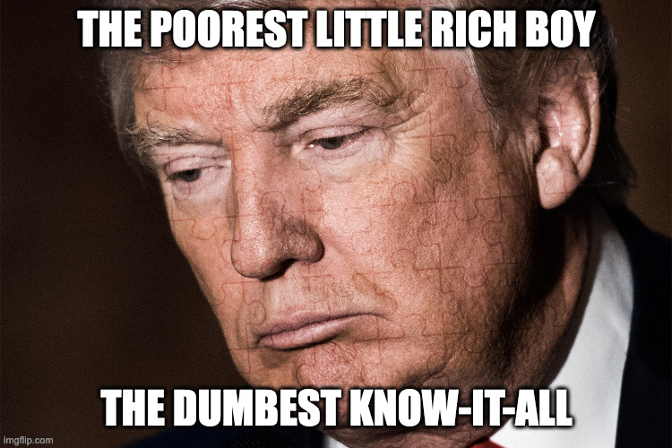 The darling of the GOP | THE POOREST LITTLE RICH BOY; THE DUMBEST KNOW-IT-ALL | image tagged in trump sad | made w/ Imgflip meme maker
