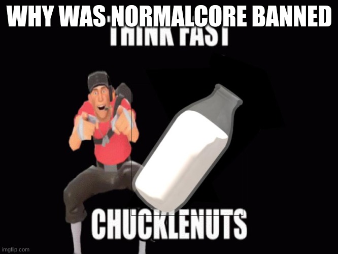 mad milk chucklenuts | WHY WAS NORMALCORE BANNED | image tagged in mad milk chucklenuts | made w/ Imgflip meme maker