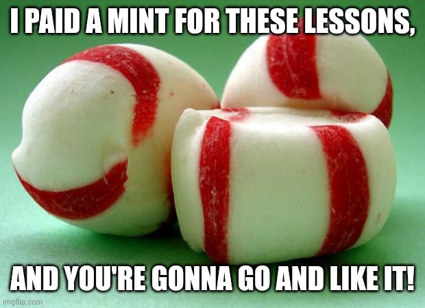 I PAID A MINT FOR THESE LESSONS, AND YOU'RE GONNA GO AND LIKE IT! | image tagged in mints | made w/ Imgflip meme maker