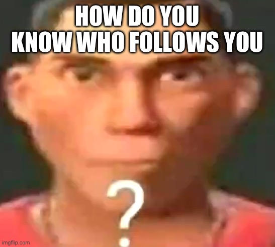 How | HOW DO YOU KNOW WHO FOLLOWS YOU | image tagged in scout confused | made w/ Imgflip meme maker