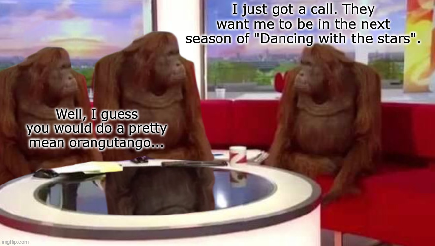 Dance monkey... | I just got a call. They want me to be in the next season of "Dancing with the stars". Well, I guess you would do a pretty mean orangutango... | image tagged in where monkey | made w/ Imgflip meme maker
