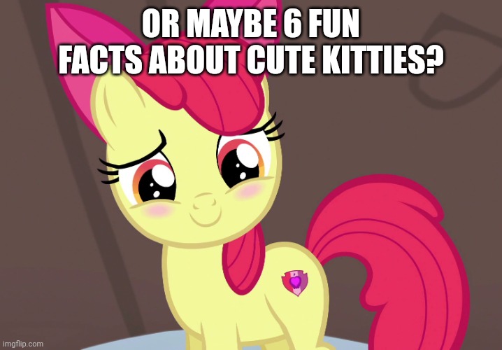 Cute Applebloom (MLP) | OR MAYBE 6 FUN FACTS ABOUT CUTE KITTIES? | image tagged in cute applebloom mlp | made w/ Imgflip meme maker