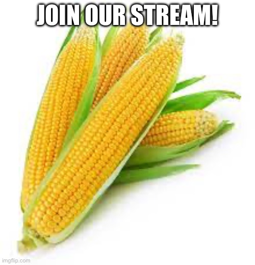 https://imgflip.com/m/C-O-R-N | JOIN OUR STREAM! | made w/ Imgflip meme maker