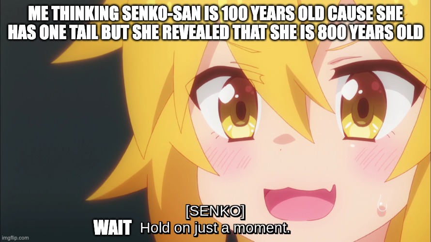 Guess i was wrong | ME THINKING SENKO-SAN IS 100 YEARS OLD CAUSE SHE HAS ONE TAIL BUT SHE REVEALED THAT SHE IS 800 YEARS OLD; WAIT | image tagged in senko hold on just a moment | made w/ Imgflip meme maker