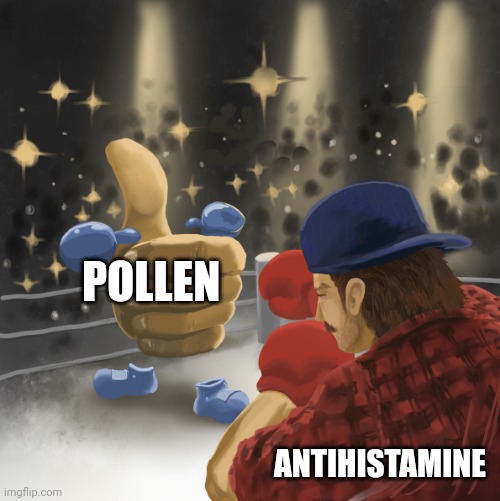 Antihistamine has a battle to win | POLLEN; ANTIHISTAMINE | image tagged in mrballen vs the like button | made w/ Imgflip meme maker