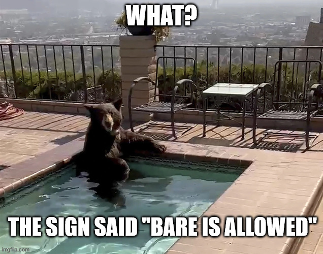 WHAT? THE SIGN SAID "BARE IS ALLOWED" | image tagged in bare,skinny dipping | made w/ Imgflip meme maker