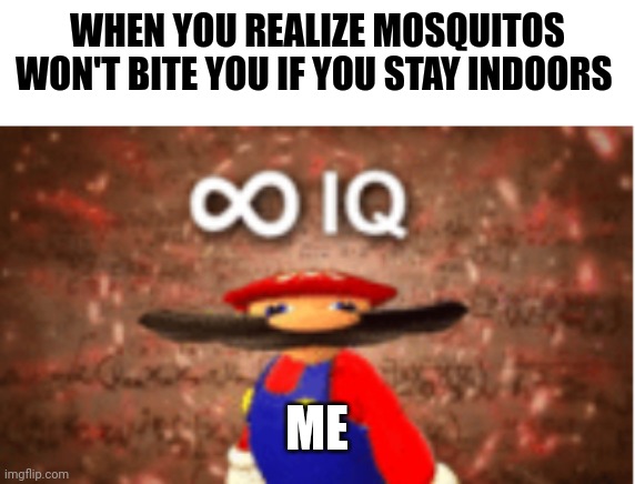 They'll still bite you | WHEN YOU REALIZE MOSQUITOS WON'T BITE YOU IF YOU STAY INDOORS; ME | image tagged in infinite iq | made w/ Imgflip meme maker