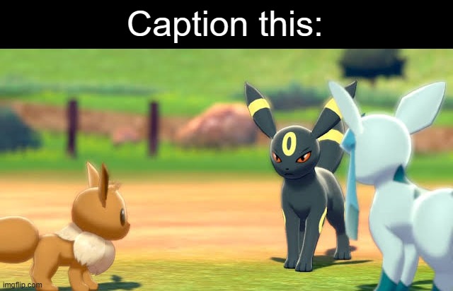 Caption | Caption this: | image tagged in eevee umbreon and glaceon | made w/ Imgflip meme maker