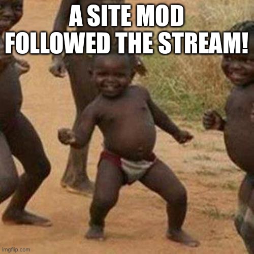 Let’s go! | A SITE MOD FOLLOWED THE STREAM! | image tagged in memes,third world success kid | made w/ Imgflip meme maker