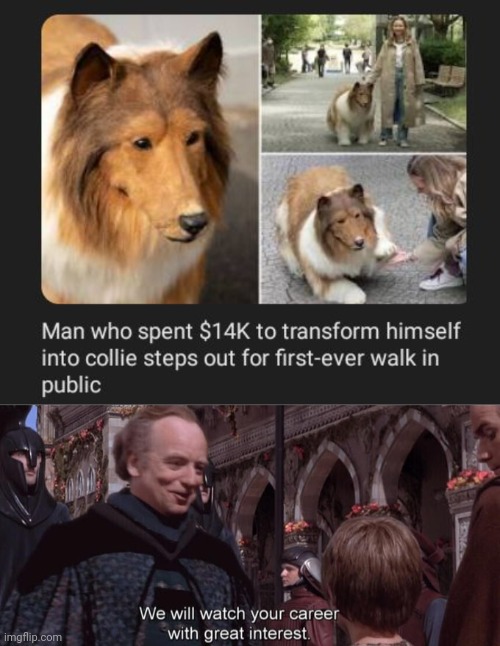 Collie | image tagged in we will watch your career with great interest,dogs,dog,collie,memes,transformation | made w/ Imgflip meme maker