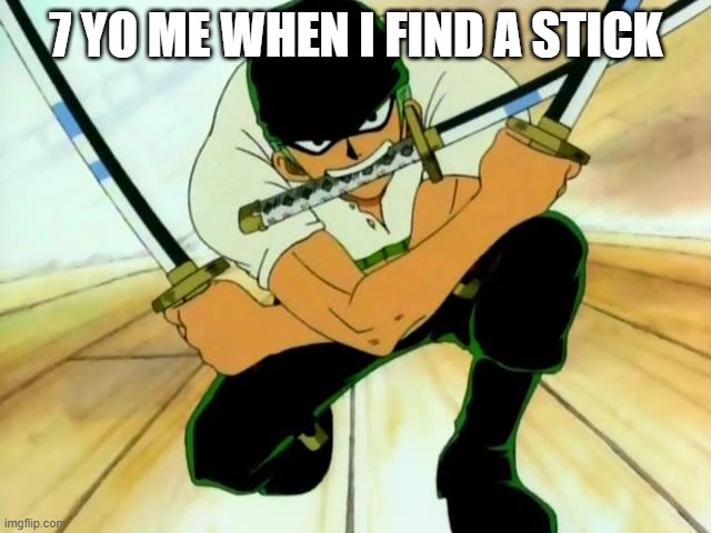 so true | 7 YO ME WHEN I FIND A STICK | image tagged in three sword style | made w/ Imgflip meme maker