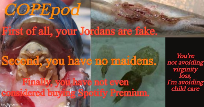 COPEpod's announcement template | First of all, your Jordans are fake. Second, you have no maidens. Finally, you have not even considered buying Spotify Premium. | image tagged in copepod's announcement template | made w/ Imgflip meme maker