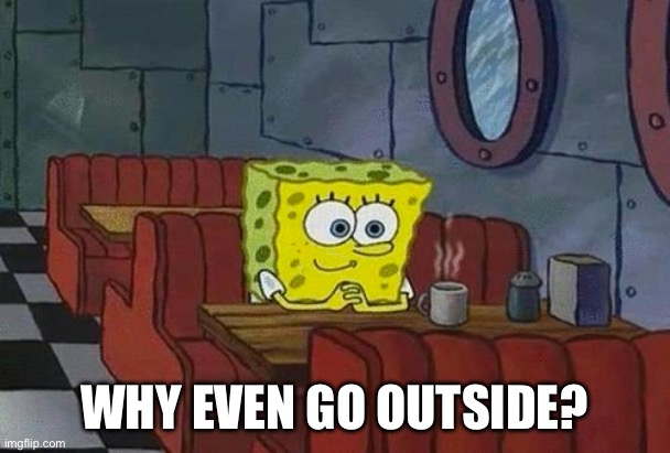 spongebob happy introvert | WHY EVEN GO OUTSIDE? | image tagged in spongebob happy introvert | made w/ Imgflip meme maker