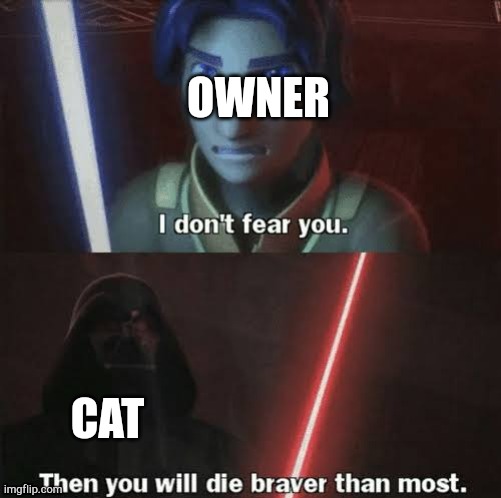 Then you will die braver than most | OWNER CAT | image tagged in then you will die braver than most | made w/ Imgflip meme maker