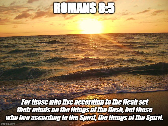 Bible Verse of the Day | ROMANS 8:5; For those who live according to the flesh set their minds on the things of the flesh, but those who live according to the Spirit, the things of the Spirit. | image tagged in christiansonly,jesus christ,bible verse | made w/ Imgflip meme maker