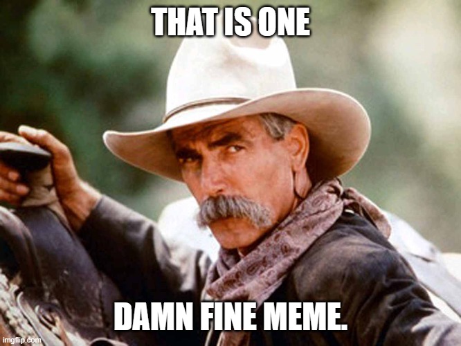 Sam Elliott Cowboy | THAT IS ONE DAMN FINE MEME. | image tagged in sam elliott cowboy | made w/ Imgflip meme maker