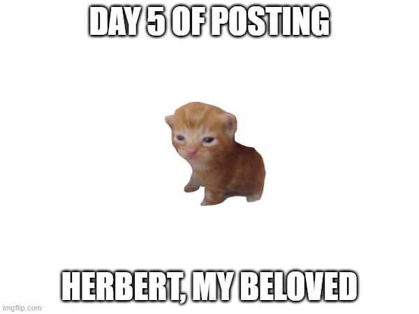 herbert, my beloved (doing this until who_am_i comments) | DAY 5 OF POSTING; HERBERT, MY BELOVED | image tagged in herbert | made w/ Imgflip meme maker