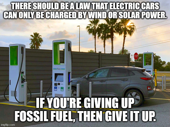 Electric car only charged by wind or solar | THERE SHOULD BE A LAW THAT ELECTRIC CARS CAN ONLY BE CHARGED BY WIND OR SOLAR POWER. IF YOU'RE GIVING UP FOSSIL FUEL, THEN GIVE IT UP. | image tagged in electric,car,solar,wind,green,charging | made w/ Imgflip meme maker