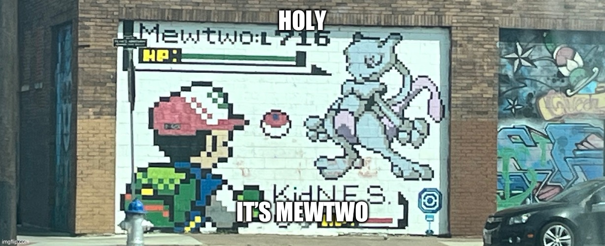 Pokémon battle irl | HOLY; IT’S MEWTWO | image tagged in pok mon battle irl | made w/ Imgflip meme maker