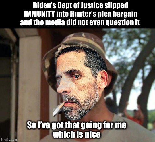 The media protects their own team | Biden’s Dept of Justice slipped IMMUNITY into Hunter’s plea bargain and the media did not even question it; So I’ve got that going for me 
which is nice | image tagged in memes,so i got that goin for me which is nice | made w/ Imgflip meme maker