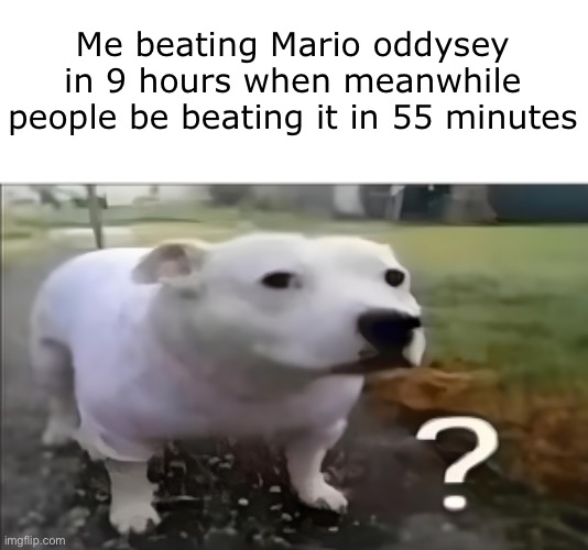What | Me beating Mario oddysey in 9 hours when meanwhile people be beating it in 55 minutes | image tagged in huh dog | made w/ Imgflip meme maker