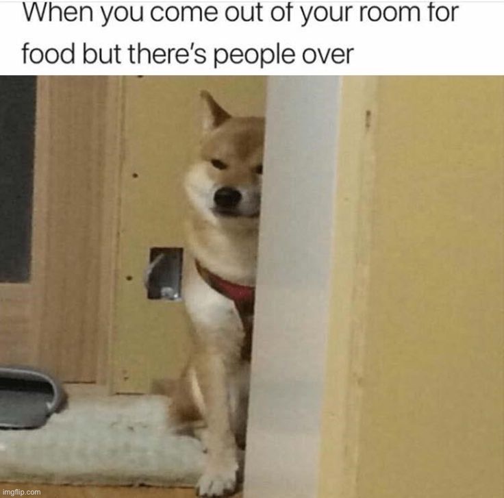 image tagged in memes,funny | made w/ Imgflip meme maker